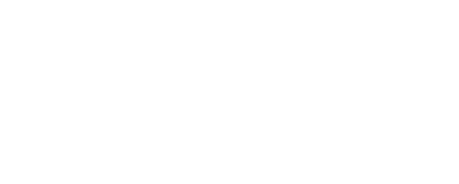 Unizima Logo White